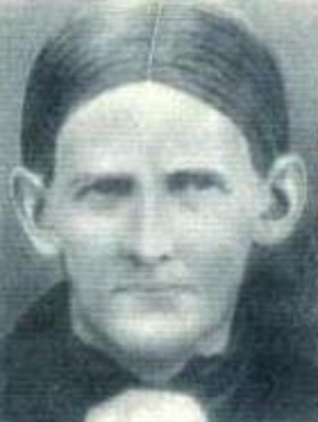 Emmer Asay (1851 - 1901) Profile